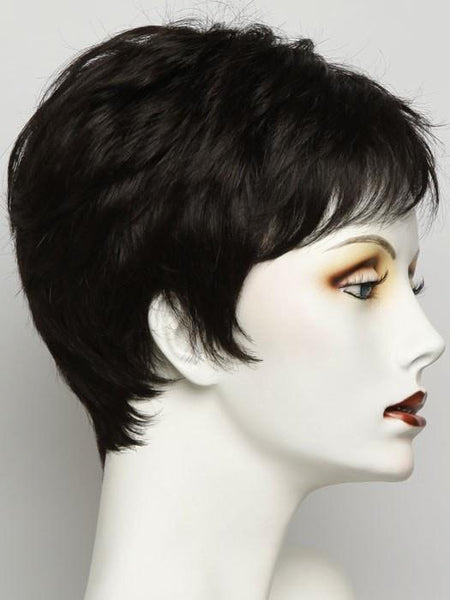 Winner Wig by Raquel Welch