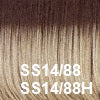 Winner Wig by Raquel Welch